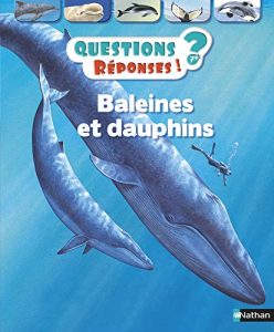 Baleines et dauphins - Questions/Réponses - doc dès 7 ans (14)
