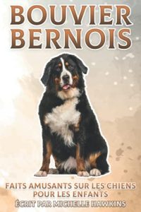 Bouvier Bernois: Faits amusants sur les chiens pour les enfants #27