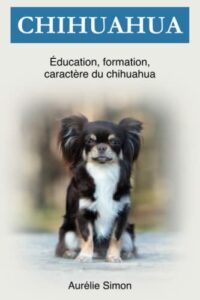 Chihuahua: Éducation, Caractère, Formation