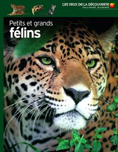 PETITS ET GRANDS FELINS