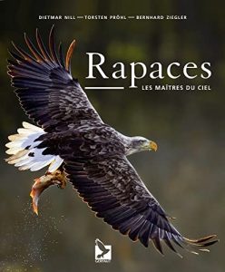 Rapaces: les maîtres du ciel