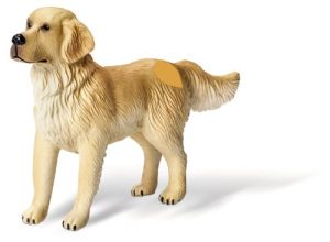 Ravensburger - 00309 - Jeu éducatif électronique - tiptoi - Figurine Animal - Golden Retriever